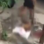 Heboh Pemukulan Anjing, Pelaku Kini Ditangkap Polisi   