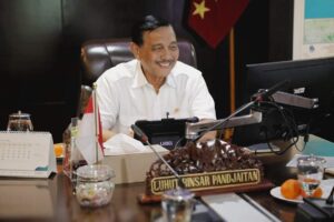 Luhut Binsar Pandjaitan: Krisis Pandemi, Pengembangan Big Data Kesehatan Dinilai Penting