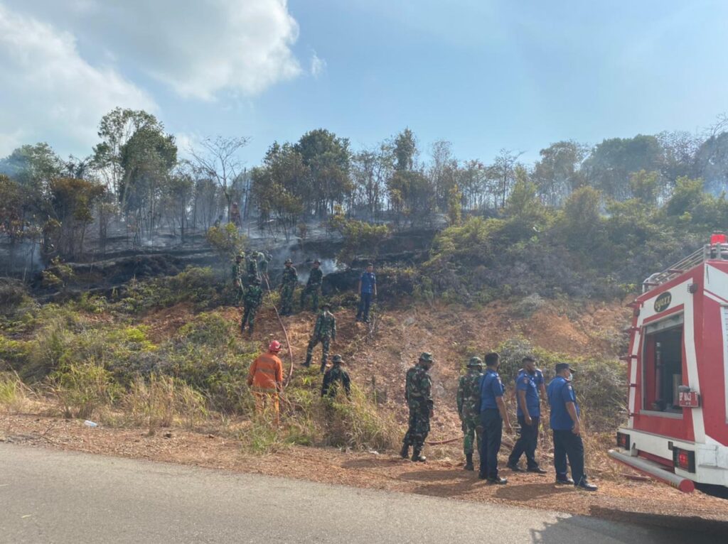 Petugas Gabungan Kompak Padamkan Api Dilahan Seluas 200 Hektare