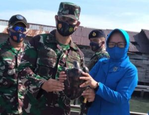 Lanal Simeulue Lepas 74 Tukik Di Pantai Teluk Nibung