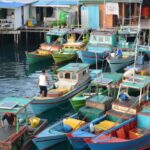 News Video: Potensi Perikanan Kabupaten Anambas