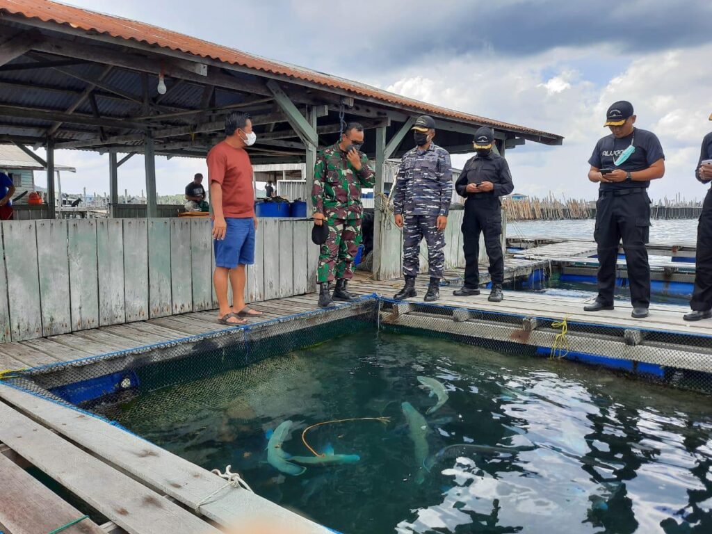 Ikan kerapu dari Laut Natuna Utara Primadona Ekspor saat Pandemi