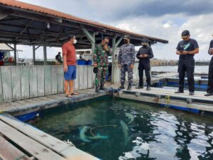 Ikan kerapu dari Laut Natuna Utara Primadona Ekspor saat Pandemi