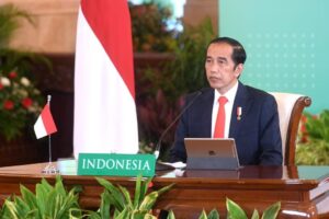 Presiden Indonesia Hadiri KTT D-8 Secara Virtual