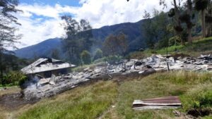 Selain Lumpuhkan Dunia Pendidikan, KKB Papua Melecehkan Adat di Papua