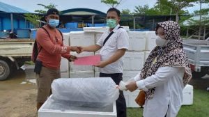 Terimakasih Dinas Perikanan, Pelaku Usaha Kelautan Dapat 5000 Bibit Ikan Kerapu