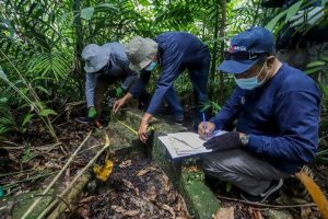 Terungkap Sejarah Belanda Di Tanah Batam Pulau Boyan Bulang