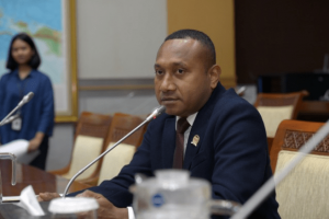 Yan Permenas Mandenas: Serangan ke Prabowo Sejak Tragedi Nanggala Dinilai Kental Muatan Politis