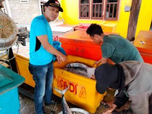 Potensi Terbentang Luas, Pemulihan Ekonomi Kabupaten Anambas Sektor UMKM Perikanan