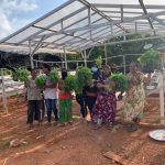 TJA Bantu 6 Kelompok Petani Hidroponik, Kalau Panen Bisa Jadi Sayur Sehat