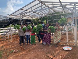 TJA Bantu 6 Kelompok Petani Hidroponik, Kalau Panen Bisa Jadi Sayur Sehat