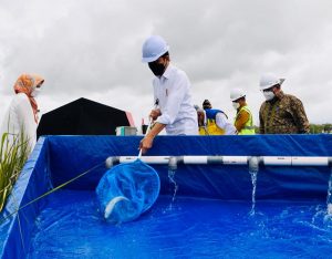 Presiden Mendukung Sulawesi Selatan sebagai Lumbung Pangan Nasional