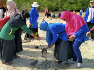 SMP Negeri 1 Palmatak Bersama PGRI Cabang Palmatak Lakukan Penanaman Benih Mangrove