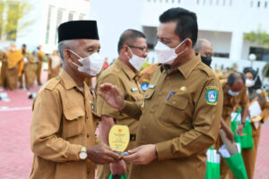 Gubernur Ansar Lepas 12 PNS Memasuki Usia Pensiun