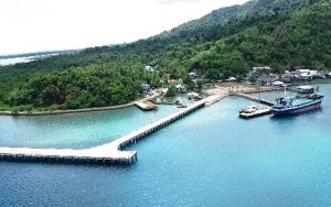 DPR RI Cen Sui Lan Wujudkan Mimpi Warga Desa Tanjung Setelung