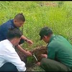Serda Saiful Bahri Ikut Menanam Pohon di Kecamatan Siantan Utara