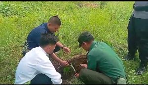 Serda Saiful Bahri Ikut Menanam Pohon di Kecamatan Siantan Utara