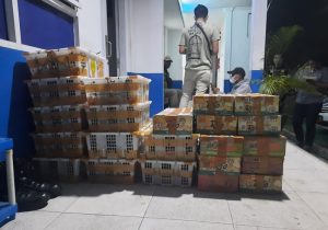 Berhasil, 787 Ekor Burung Liar Selundupan Asal Sumsel Digagalkan BKSDA