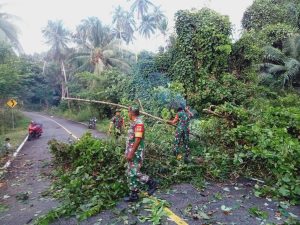 Babinsa Koramil Palmatak Gotong Royong Bersihkan Pohon Tumbang di Teluk Bayur