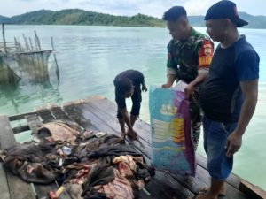 Praka M. Ardi Ikut Bantu Warga Laksanakan Qurban di Desa Ladan