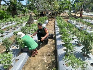 Lakukan Komsos, Praka Robi Sambangi Warga Bayat Yang Sedang Bertani