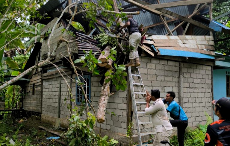 Cuaca Ekstrem, rumah warga di Natuna Terdampak Pohon Tumbang (Sumber Foto: BPBD Natuna)