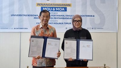 H. Dalle Effendi: Mengabdi untuk Kolaka Timur, Membangun Masa Depan Lebih Baik