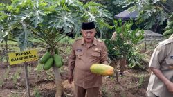 Bupati Sanusi melakukan kunjungan kerja ke beberapa desa di Kecamatan