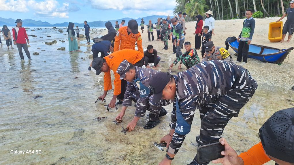 Di bawah komando Kepala Staf Angkatan Laut Laksamana Dr. Muhamad Ali, Prajurit Pos TNI AL Serasan bersama unsur pemerintah dan masyarakat setempat melepasliarkan 170 ekor tukik