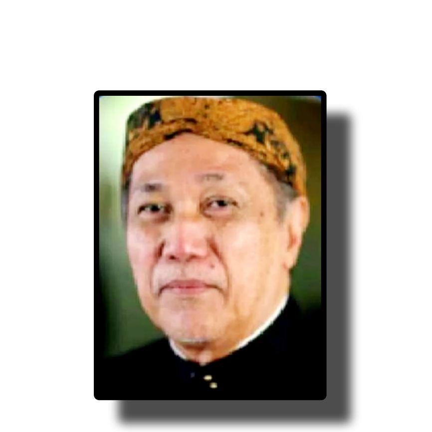 Ir.Samsul Hadi