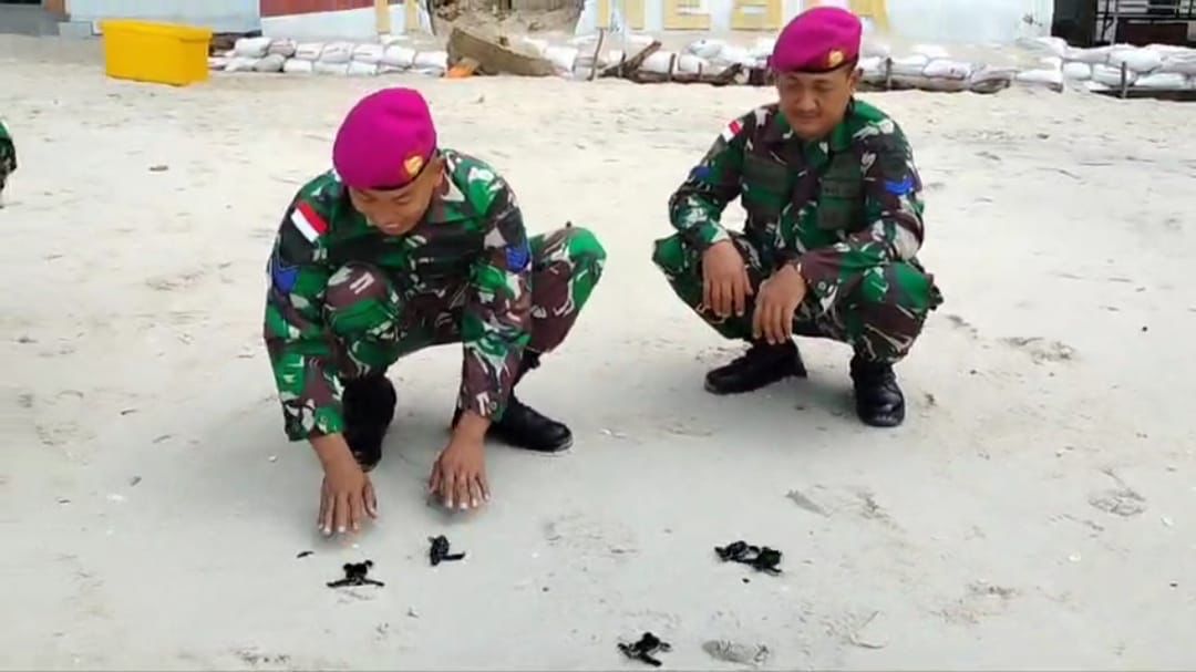 balik ketatnya penjagaan wilayah perbatasan, Satgas Marinir Pengamanan Pulau Terluar (Satgasmar Pam Puter) ke-XXVIII wilayah barat justru menunjukkan sisi lembutnya. Puluhan tukik, anak penyu yang baru menetas dilepasliarkan kembali ke laut lepas