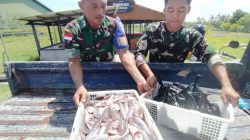 Lanud Raden Sadjad Natuna Sukses Panen Raya Lele, Perkuat Ketahanan Pangan TNI AU