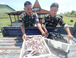 Lanud Raden Sadjad Natuna Sukses Panen Raya Lele, Perkuat Ketahanan Pangan TNI AU