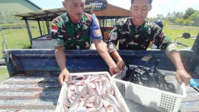 Panen Raya Lele di RSA Farm