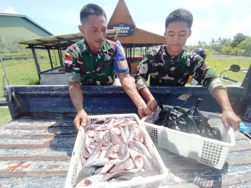Panen Raya Lele di RSA Farm
