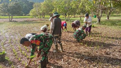 Babinsa dan petani Serasan