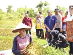 Lumbung Harapan di Ujung Negeri, Cerita tentang Bu Tani, Caping Janji di Atas Padi Menguning