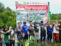 TNI AL Koarmada I Dukung Penanaman 5.000 Mangrove di Tanjungpinang Hijaukan Pesisir