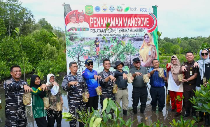 mangrove