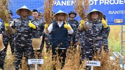ketahanan pangan yang diselenggarakan TNI AL di Pusat Penelitian Dan Pengembangan Dan Penerapan Bioteknologi, Desa Rancasanggal, Kecamatan Cinangka, Kabupaten Serang, Provinsi Banten. Kamis (8/5).