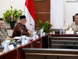 Didampingi Wagub Kepri, Bupati Anambas Gelar Audiensi Dengan Menteri Sosial
