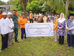 Dandim Natuna Bersama Bupati Turun Langsung Tinjau Sapi Kurban 1 Ton Bantuan Presiden Prabowo