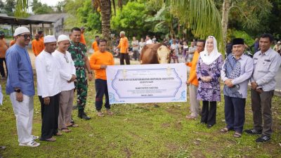 Penyerahan sapi kurban superjumbo