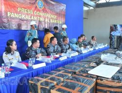 TNI AL Gagalkan Penyulundupan 200 Ribu Benur Lobster Nilai Rp 29,97 M