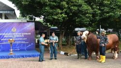 Kepala Staf TNI AL Serahkan Hewan Kurban, Tekankan Makna Pengorbanan dan Kepedulian Sosial Idul Adha