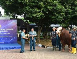 Kepala Staf TNI AL Serahkan Hewan Kurban, Tekankan Makna Pengorbanan dan Kepedulian Sosial Idul Adha