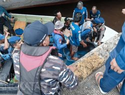 TNI AL Banjarmasin dan Tim SAR Gabungan Evakuasi Korban Tenggelam di Sungai Barito