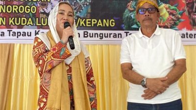 Pagelaran Budaya Desa Tapau