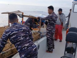 TNI AL Gagalkan Penyulundupan Ayam Filipina dan Minuman Keras Ilegal di Perairan Sangihe