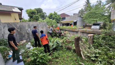 Kondisi terkini Kota Tanjungpinang Pohon Tumbang foto Badan Penanggulangan Bencana Daerah (BPBD) Provinsi Kepulauan Riau (Kepri),